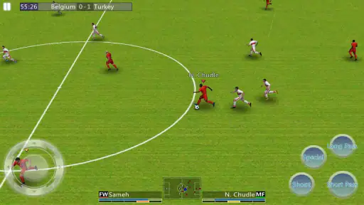 世界のサッカーリーグ screenshot 9