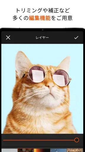 写真クラウド screenshot 12