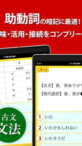 古文・漢文（古文単語、古典文法、漢文） screenshot 12
