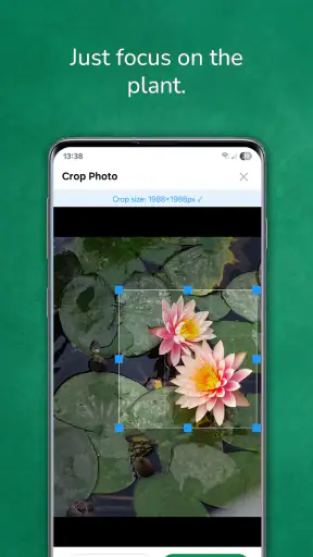 植物 写真 名前 調べる 無料 screenshot