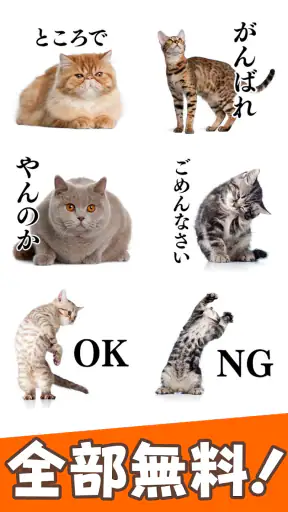 猫スタンプ（実写スタンプ） screenshot