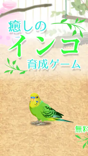 癒しのインコ育成ゲーム screenshot