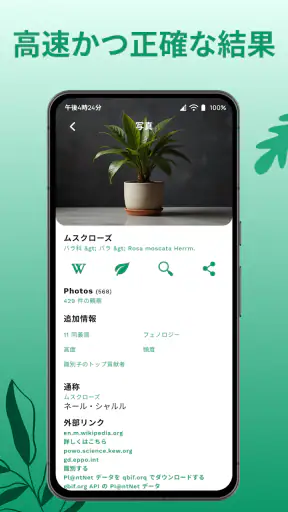 花の名前を調べる: しょくぶつ図鑑 - 樹木判別 screenshot 10