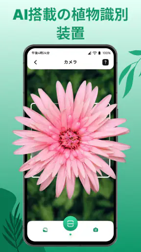 花の名前を調べる: しょくぶつ図鑑 - 樹木判別 screenshot 12