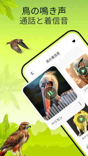 鳥の鳴き声 screenshot