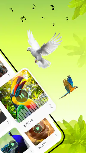 鳥の鳴き声 screenshot