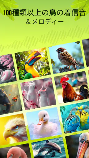 鳥の鳴き声 screenshot