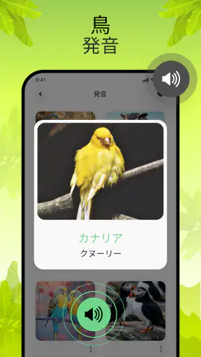 鳥の鳴き声 screenshot