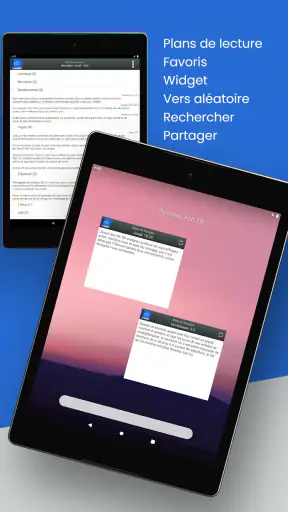Bible en français Louis Segond screenshot 9