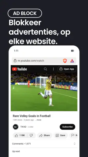 Brave privé-webbrowser screenshot 3