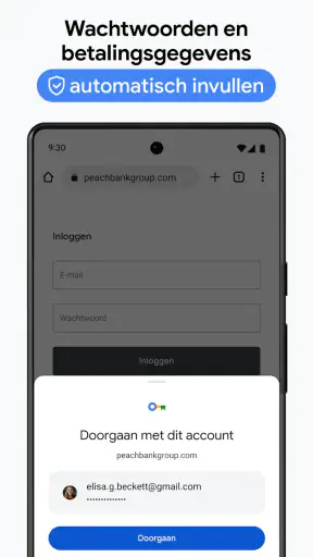 Google Chrome screenshot 2