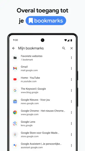 Google Chrome screenshot 8