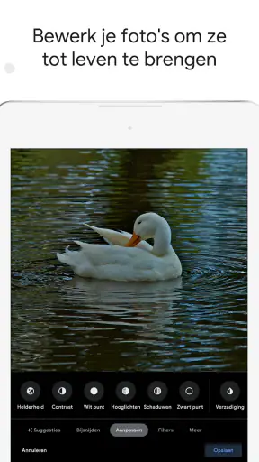 Google Foto's screenshot 11