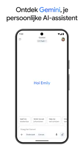 Google Gemini screenshot 2