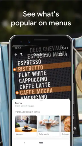 Google Lens screenshot 7