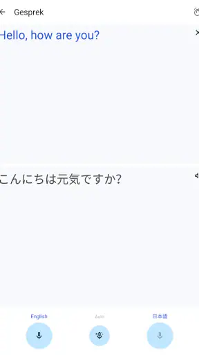 Google Translate screenshot 10