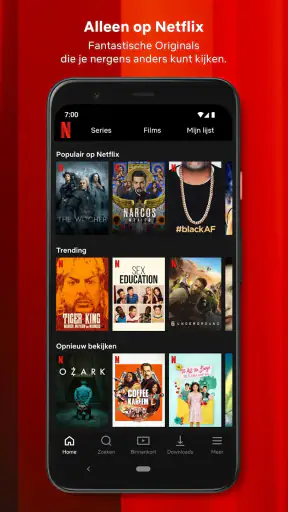 Netflix screenshot 2