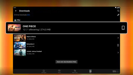 Netflix screenshot 8