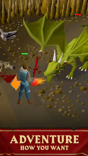 Old School RuneScape screenshot 9