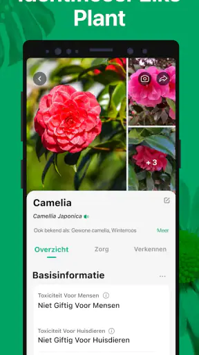 PictureThis -Planten Herkennen screenshot 2