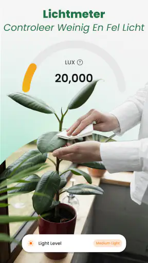 Planten Herkennen: AI Scanner screenshot 4