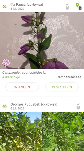 Pl@ntNet plantenidentificatie screenshot 4