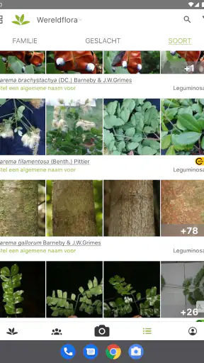 Pl@ntNet plantenidentificatie screenshot 7