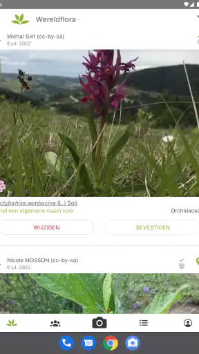 Pl@ntNet plantenidentificatie screenshot 8