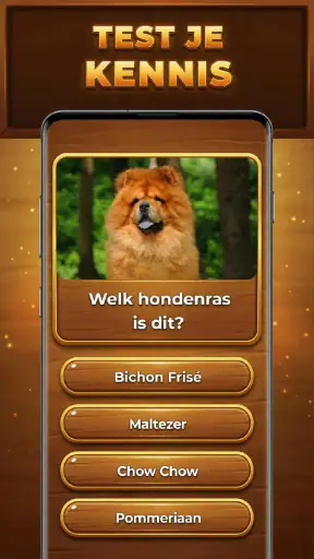Quiz-Boom: Trivia Blocks screenshot 2