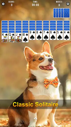 Spider Solitaire screenshot 7