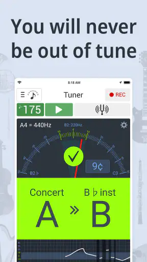 Stemapparaat en Metronoom screenshot 1