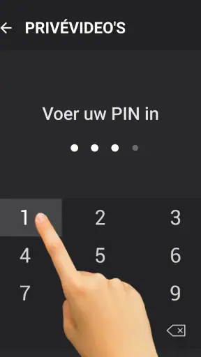 Videodownloader screenshot 10