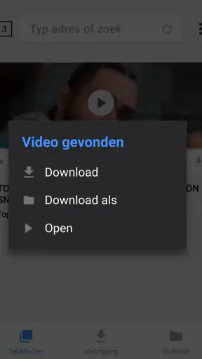 Videodownloader screenshot 7