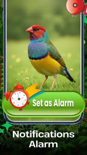 Vogelgeluiden screenshot 4