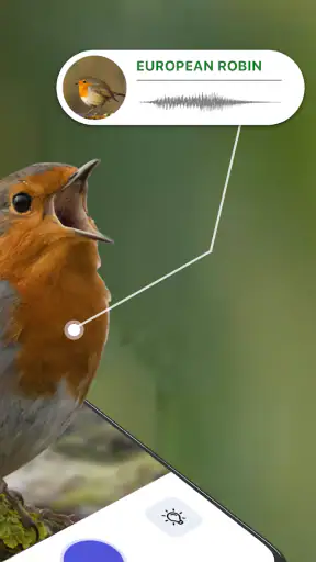 Vogelgeluiden Herkennen NL screenshot 2