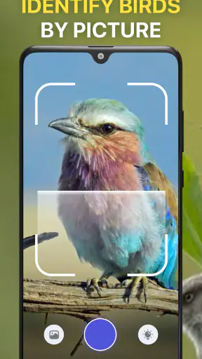 Vogelgeluiden Herkennen NL screenshot 3