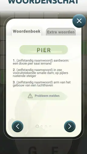 Woordspelletjes Nederlands screenshot 5