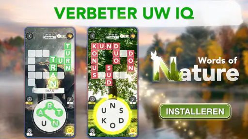 Woordspelletjes Nederlands screenshot 6