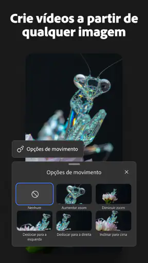 Adobe Firefly: gerador de IA screenshot 3