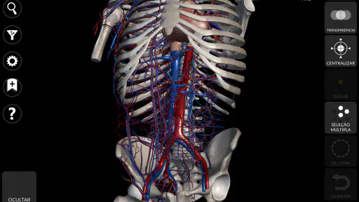 Anatomia - Atlas 3D screenshot 11