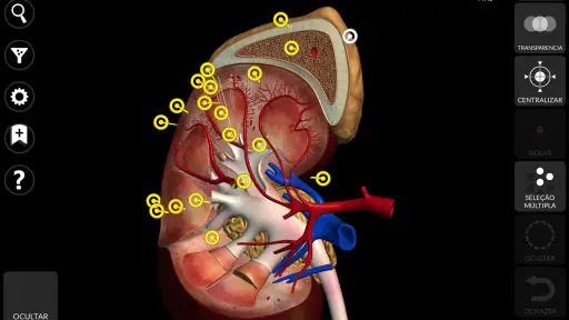 Anatomia - Atlas 3D screenshot 12