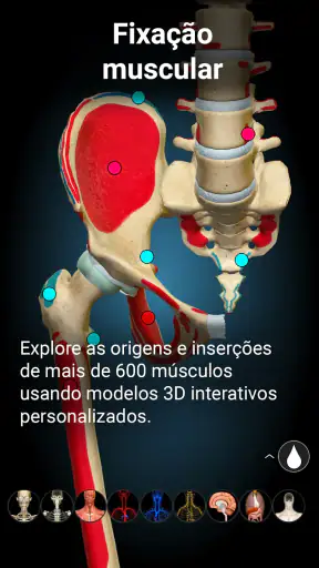Anatomy Learning - Anatomia 3D screenshot 10