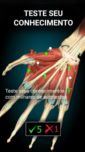 Anatomy Learning - Anatomia 3D screenshot 11