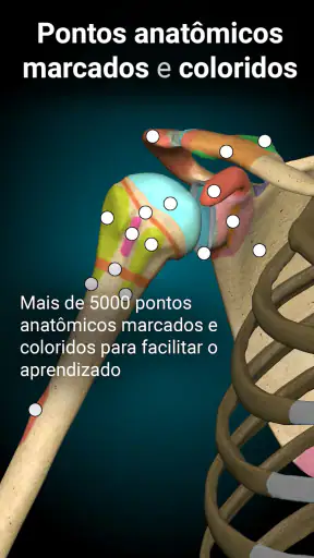 Anatomy Learning - Anatomia 3D screenshot 9