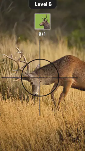Animal Hunter: Caça ao Veado screenshot 10