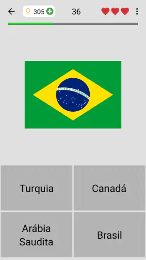 Bandeiras dos países do mundo screenshot 6