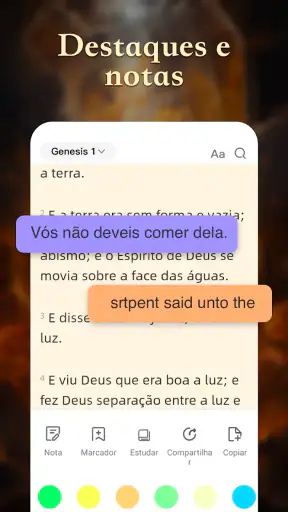 Bíblia Sagrada screenshot 7