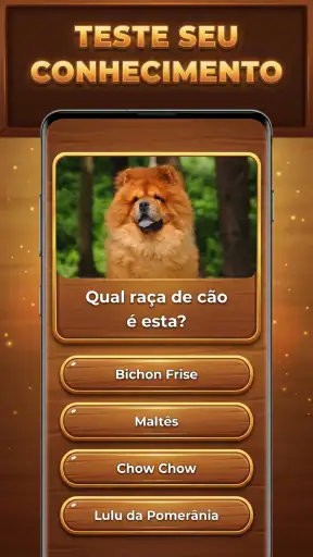 Bum de Trivia: Trivia Blocks screenshot 10