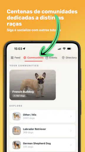 Dog Care: Adestramento e Raças screenshot 2