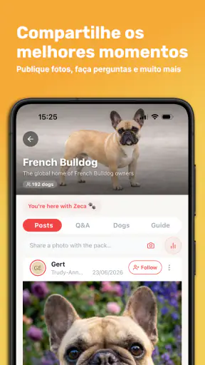 Dog Care: Adestramento e Raças screenshot 3